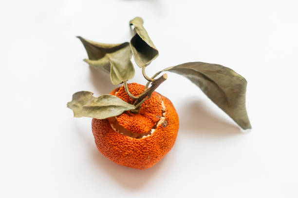 Orange decoration；Dried oranges and peel