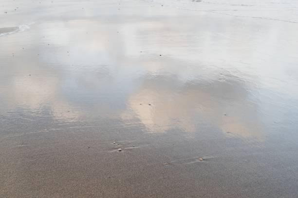 istock Clouds reflected on the wet sand at the water's edge 1299567044