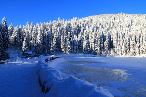 green lake in the valley of munster in winter, alsace - frankenthal imagens e fotografias de stock