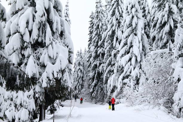 Lake of Lispach in Vosges in Winter