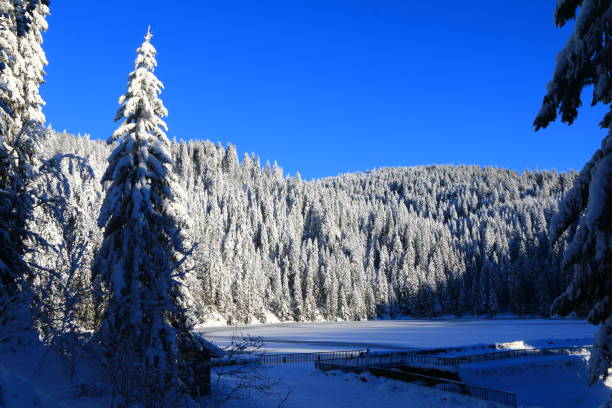 green lake in the valley of munster in winter, alsace - frankenthal imagens e fotografias de stock