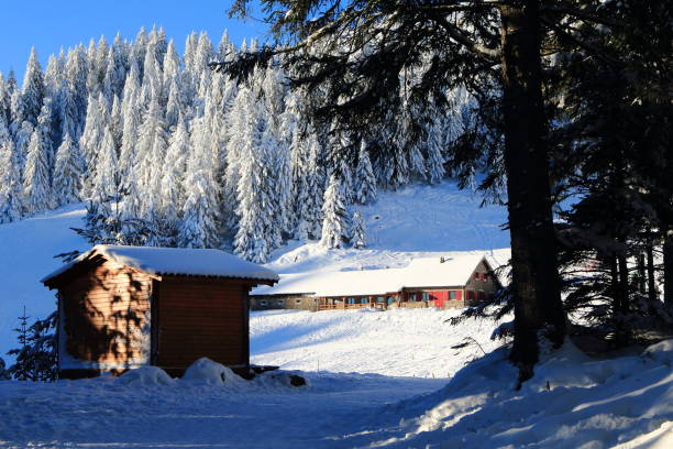 station de ski tanet et auberge seestaedtle - stosswihr photos et images de collection