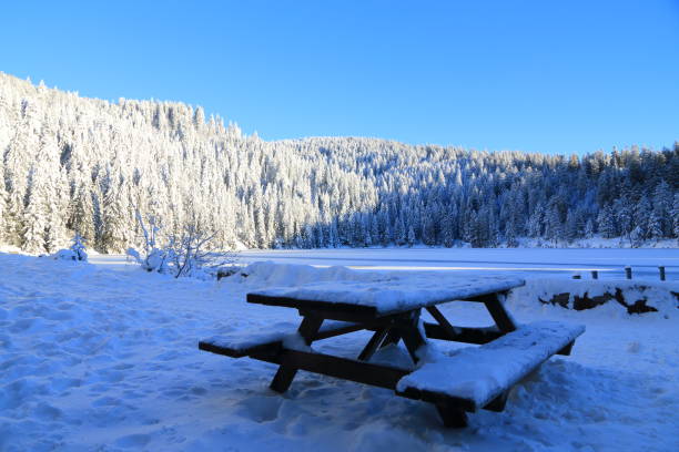 green lake in the valley of munster in winter, alsace - frankenthal imagens e fotografias de stock