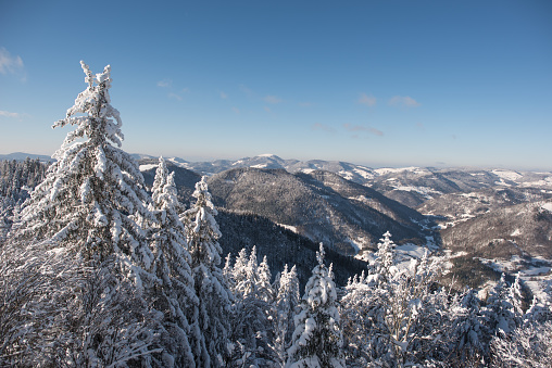 View over the snow-covered Black Forest in southern Germany in winter from the Hochkopf observation tower near Todtmoos.