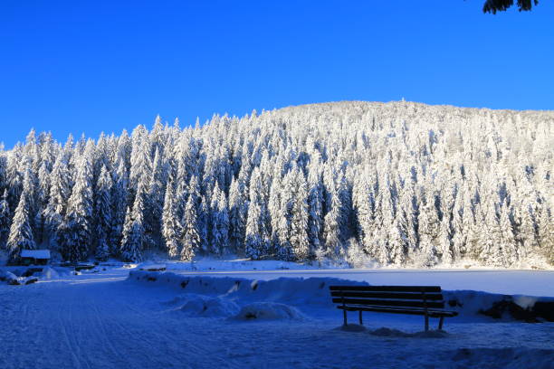 lac vert dans la vallée de munster en hiver, alsace - stosswihr photos et images de collection