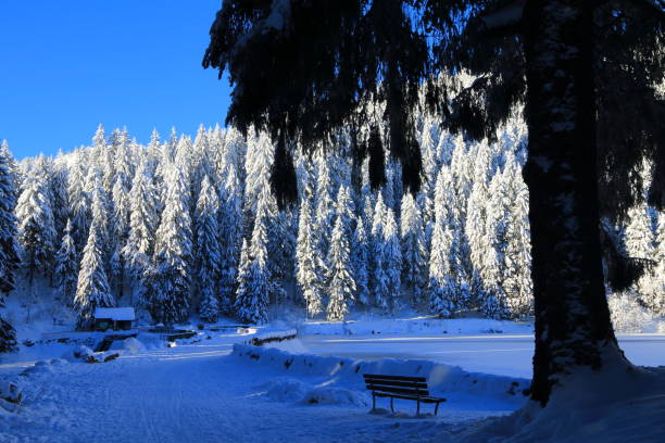 lago verde nella valle del munster in inverno, alsazia - stosswihr foto e immagini stock