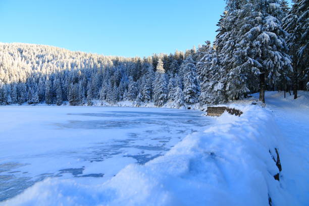 green lake in the valley of munster in winter, alsace - frankenthal imagens e fotografias de stock