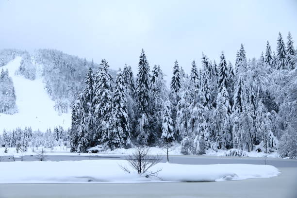 lago di lispach nei vosgi in inverno - bresse foto e immagini stock