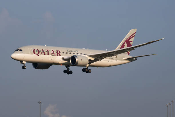 qatar airways boeing 787-8 dreamliner a7-bca avion de passagers arrivée et atterrissage à l’aéroport de vienne - boeing 787 qatar airways airplane aerospace industry photos et images de collection