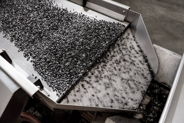 istock Roasted sunflower seeds equipment at modern factory 1299580968