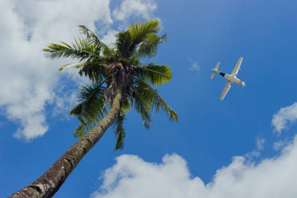 Airliner passing over palm trees. Palawan island, Philippines
