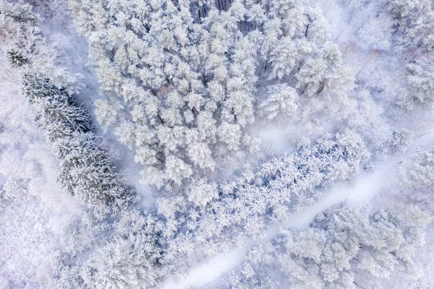 istock Aerial view of a railroad surrounded by forest covered with snow. 1299584577