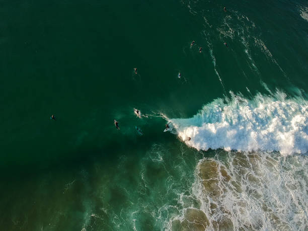 istock Surfers on a wave from an aerial perspective 1299585152