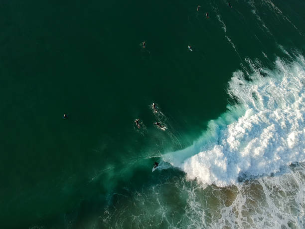 istock Surfers on a wave from an aerial perspective 1299585156