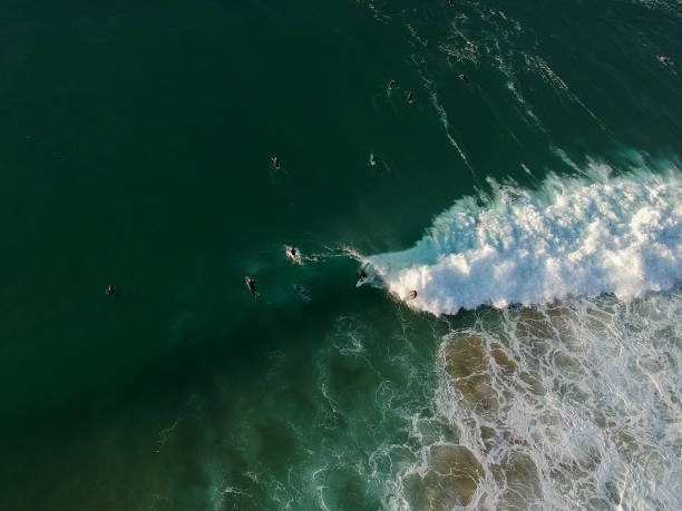 istock Surfers on a wave from an aerial perspective 1299585162