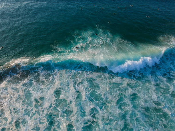 istock Aerial view from a surfer in a surf spot. Big waves in a beach 1299585241