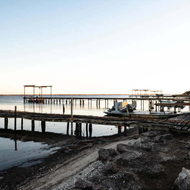 istock oyster and mussels farming 1299587659