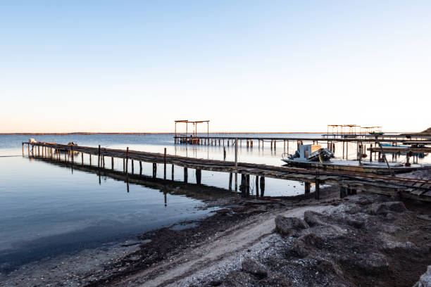 istock oyster and mussels farming 1299588974