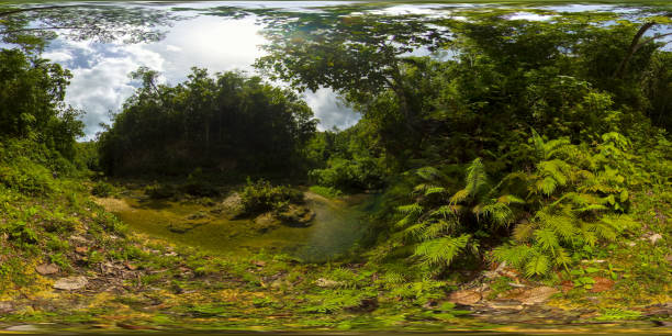 istock River in the rainforest. Philippines, Bohol. Virtual Reality 360 1299589078