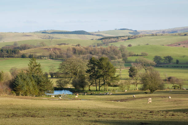 istock Shropshire Hills landscape, countryside, Shropshire, UK 1299589306