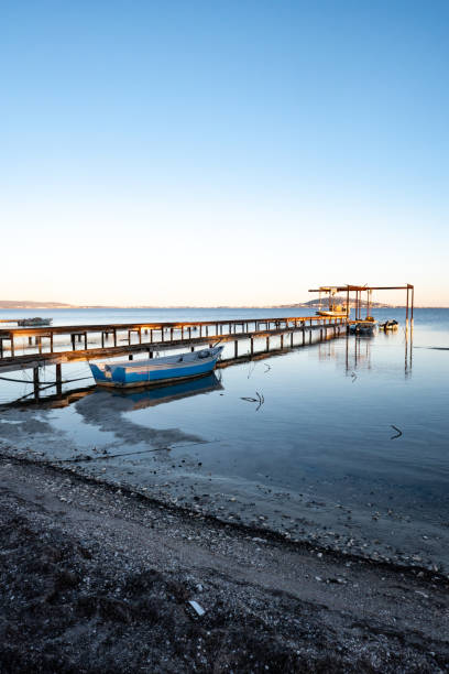 istock oyster and mussels farming 1299590335