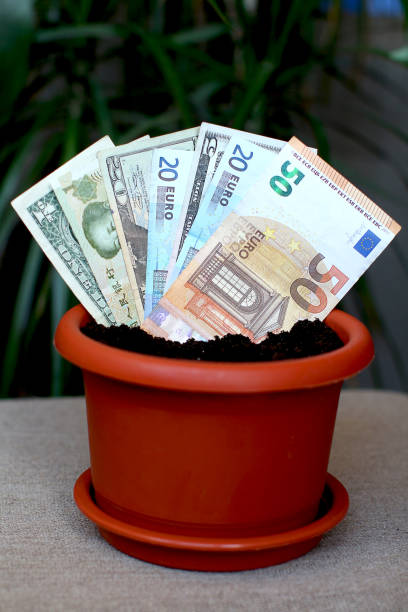 istock Sprouted banknote (idea) in a pot with earth and coins 1299591073