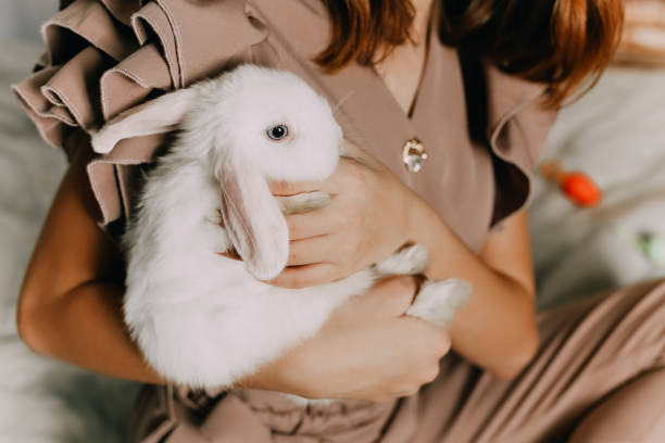 istock Girl and rabbits. Easter symbols, pets bunnies 1299591638