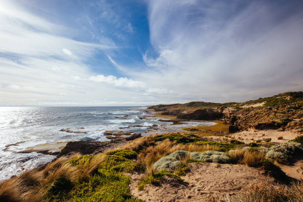 istock Pearses Beach in Blairgowrie Australia 1299593084