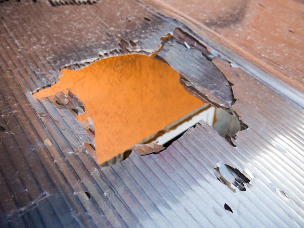 The destroyed surface of the old honeycomb polycarbonate coating
