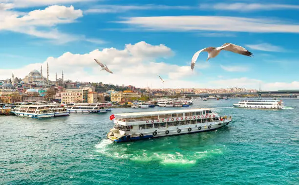 Golden Horn in Istanbul and view of Suleymaniye Mosque