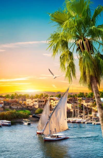 River Nile and boats River Nile and boats at sunset in Aswan felucca boat stock pictures, royalty-free photos & images