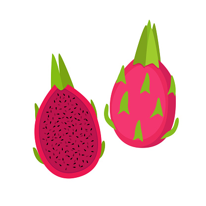 Red dragon fruit, whole fruit and half, vector illustration