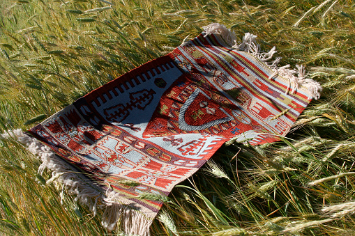 Wheat field and antique rug.