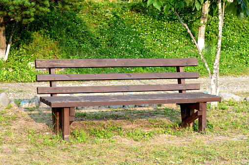 a nice garden bench