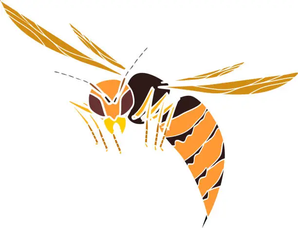 Vector illustration of Yellow silhouette of flying European hornet (Vespa crabro) isolated white on background