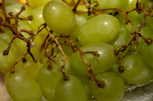 A closeup picture of green grapes