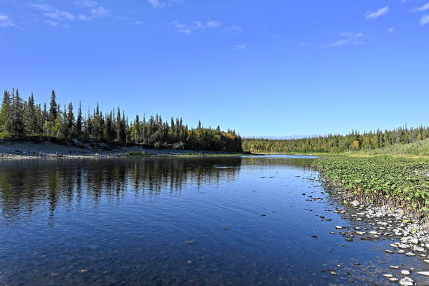 istock Northern river landscape on a summer sunny day. 1299610364
