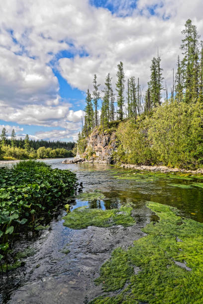 istock Northern river landscape on a summer sunny day. 1299610405