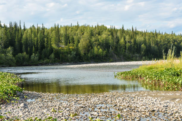 istock Northern river landscape on a summer sunny day. 1299610925