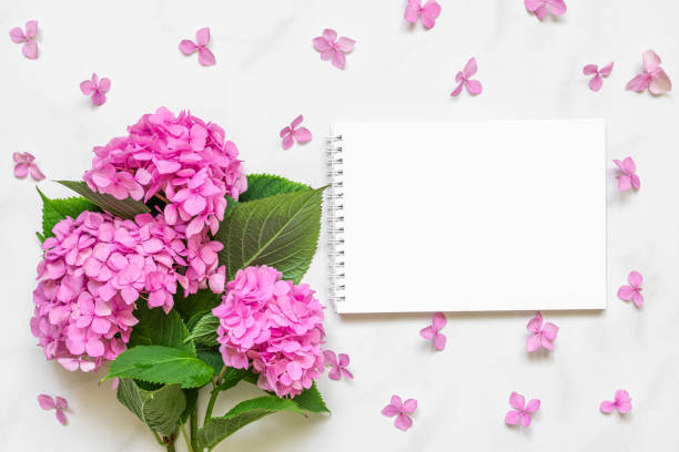 istock Blank paper notebook in petals frame with pink hydrangea flowers bouquet on white background. mock up. flat lay 1299613746