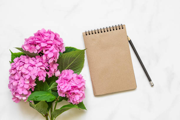 istock Blank paper notebook with pink hydrangea flowers bouquet on white background. mock up. flat lay. top view 1299613830