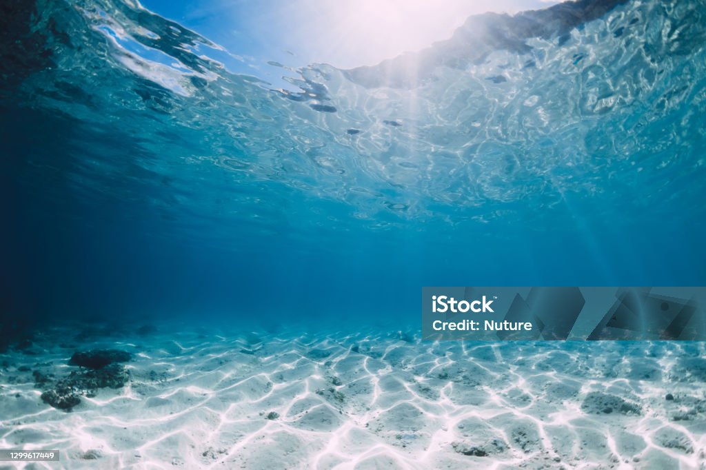 Tropical Blue Ocean With White Sand And Stones Underwater In ...