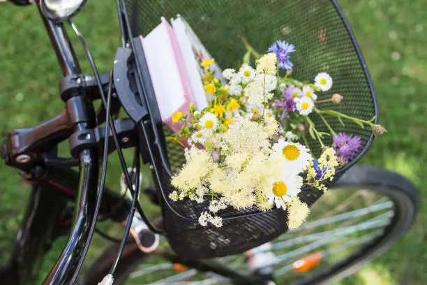 Colorful bouquet of wildflowers and pink color books in the basket of black bicycle in nature green grass background in sunny day