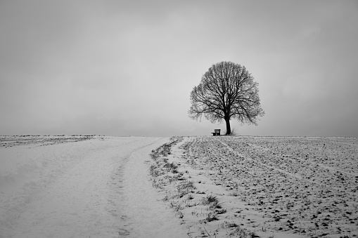 Winter landscape, with trees and hill covered by snow, under a moody, cloudy sky.