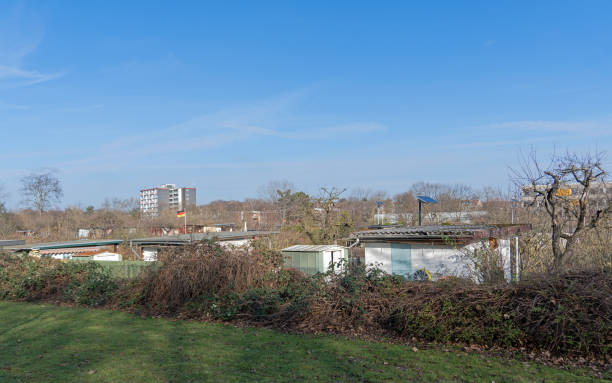 istock Allotment garden in Cologne 1299621068