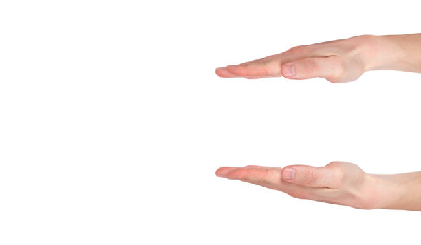 Two opened male hand isolated on white background. Brutal man's palms rised up and hold something. Finger gestures.