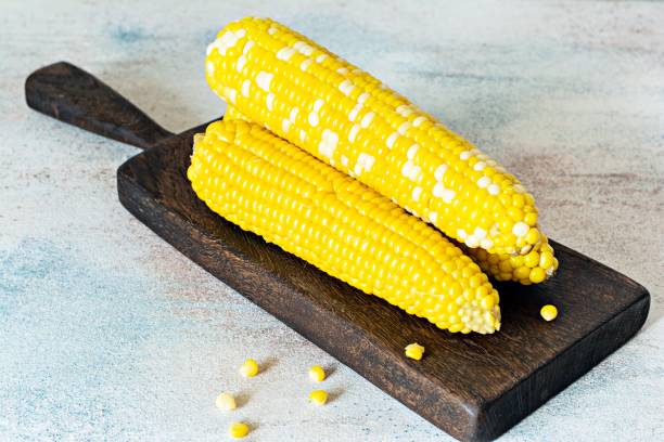 istock Fresh cooked (boiled) corn on a wooden board on a gray (blue) background. Ripe corn. 1299626277