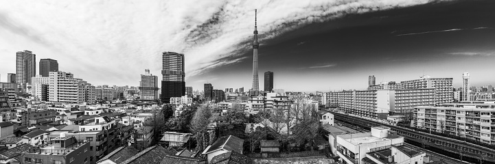 Dramatic black and white monochrome panorama over the rooftops of central Tokyo to the iconic spire of the Tokyo Skytree, Japan.
