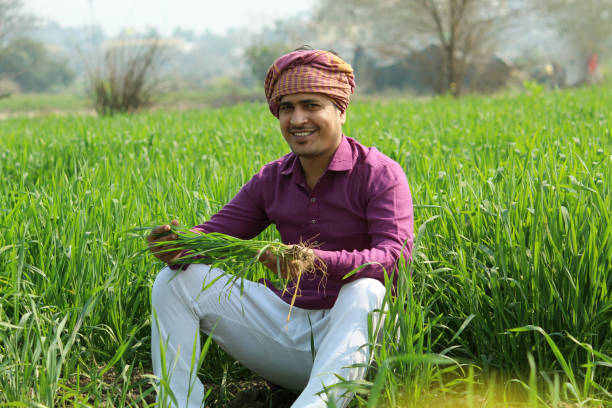 istock Indian Male Farmer 1299628880