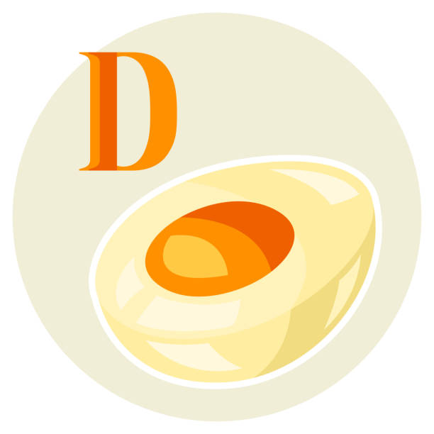 定型化された卵のイラスト。 - vitamin d meat food eggs点のイラスト素材／クリップアート素材／マンガ素材／アイコン素材